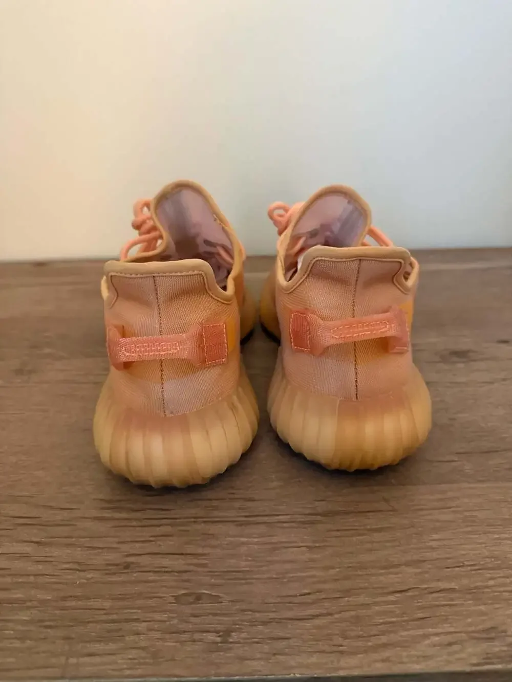 Adidas Yeezy Boost 350 V2 Mono Clay GW2870